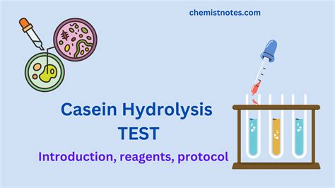 casein hydrolysis test|Casein Hydrolysis Test: Principle, Protocol, Reagents, And Reliabl.